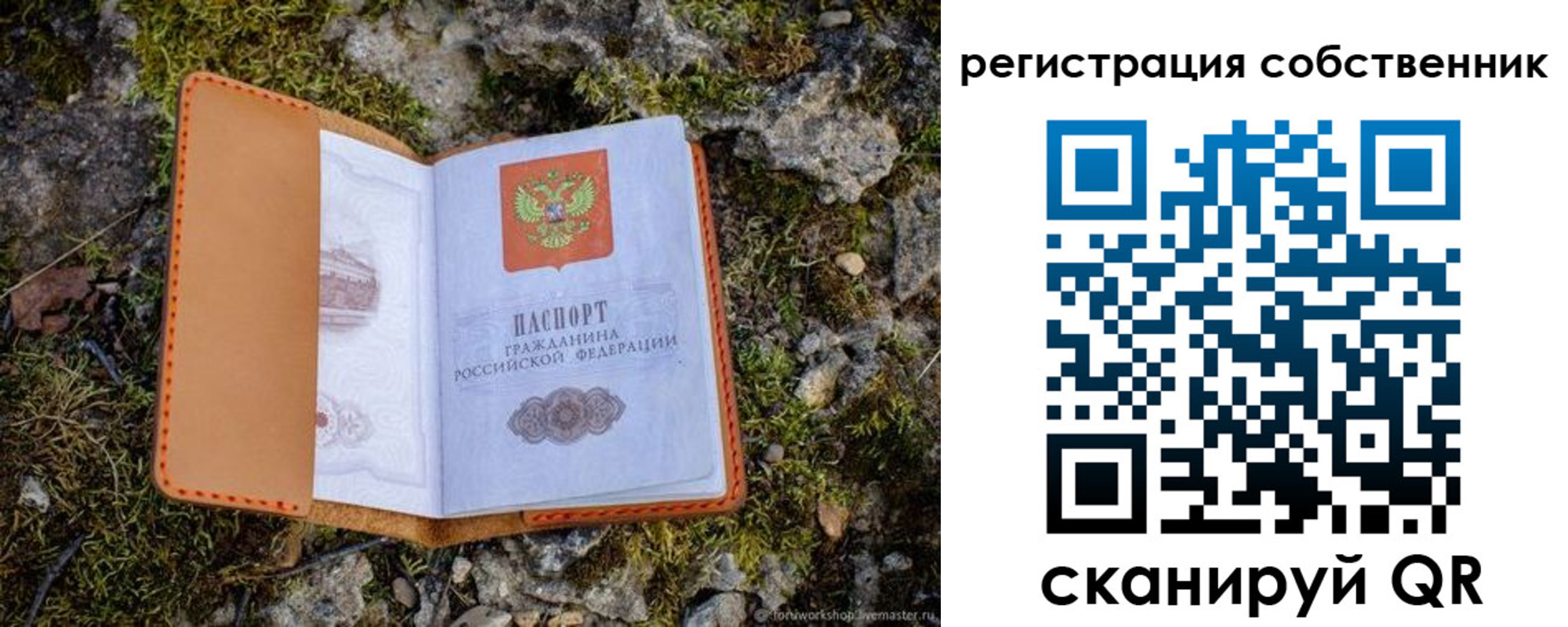 прописка поиск в Елабуге